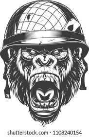 Vector illustration, ferocious gorilla head in a soldier's helmet, monkey soldier, on white background