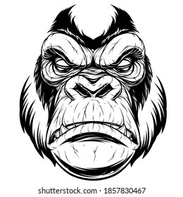 Vector illustration, ferocious gorilla head, on a black background.