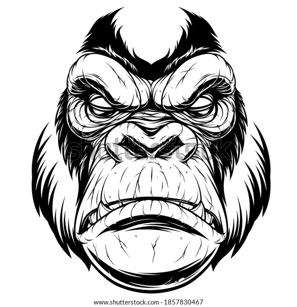 Vector Illustration Ferocious Gorilla Head On Stock Vector (Royalty ...