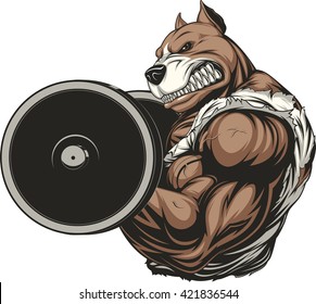 Vector illustration of a ferocious pitbull raises the barbell on biceps