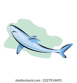 Vector illustration, ferocious shark attacks, on white background in EPS10
