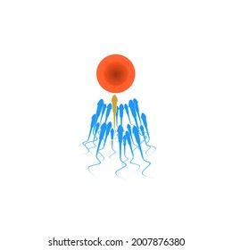 Vector illustration of fertilization in the uterus.
Suitable for use as logos, icons, etc.