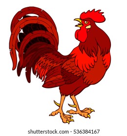 Vector illustration. A Fervent dark red rooster on a white background. Fiery chicken a symbol of the Chinese new year 2017 according to east calendar.