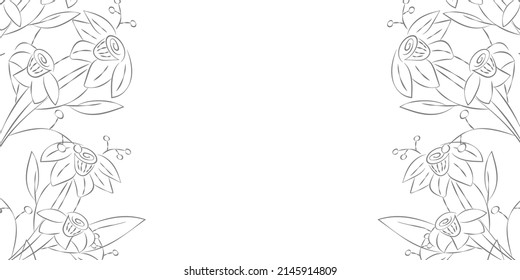 Ilustración vectorial. Fondo floral festivo en colores grises, copia espacio para texto. Marco de flores de narciso gris. Plantilla horizontal dibujada a mano de estilo rústico.
