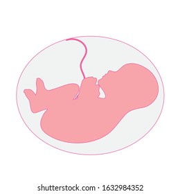 Vector illustration of fetus inside womb on white background. Symbol of baby.