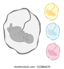 Vector illustration of a fetus in the womb.