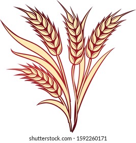 Vector illustration of a few ripe wheat ears. Can be used as frame, corner or border design element. 
