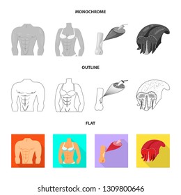 Vector illustration of fiber and muscular icon. Collection of fiber and body  stock symbol for web.