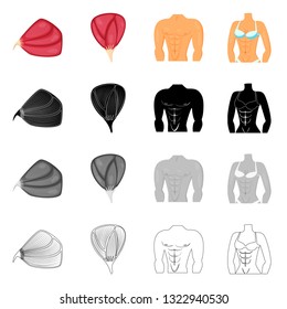 Vector illustration of fiber and muscular icon. Set of fiber and body  stock vector illustration.