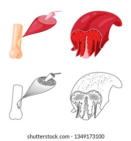Vector illustration of fiber and muscular icon. Set of fiber and body  vector icon for stock.