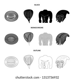 Vector illustration of fiber and muscular logo. Set of fiber and body  stock vector illustration.