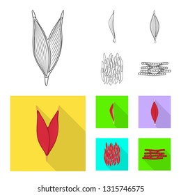 Vector illustration of fiber and muscular logo. Set of fiber and body  stock vector illustration.