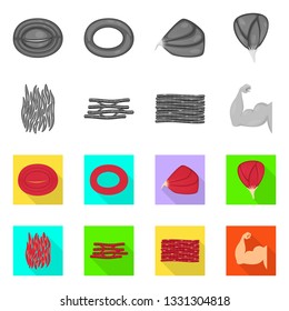 Vector illustration of fiber and muscular logo. Collection of fiber and body  stock vector illustration.