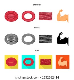 Vector illustration of fiber and muscular logo. Set of fiber and body  stock vector illustration.