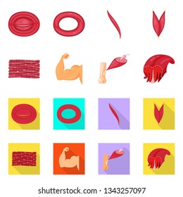 Vector illustration of fiber and muscular logo. Set of fiber and body  stock vector illustration.