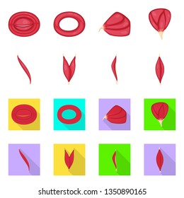 Vector illustration of fiber and muscular logo. Set of fiber and body  stock vector illustration.