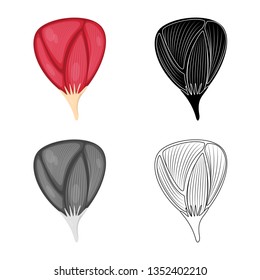 Vector illustration of fiber and muscular logo. Collection of fiber and body  vector icon for stock.