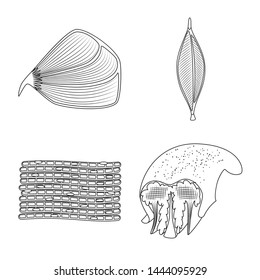 Vector illustration of fiber and muscular logo. Set of fiber and body stock vector illustration.