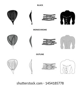 Vector illustration of fiber and muscular logo. Collection of fiber and body stock vector illustration.