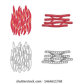 Vector illustration of fiber and muscular logo. Collection of fiber and body stock vector illustration.
