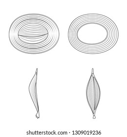 Vector illustration of fiber and muscular sign. Set of fiber and body stock vector illustration.