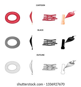 Vector illustration of fiber and muscular sign. Collection of fiber and body  stock symbol for web.