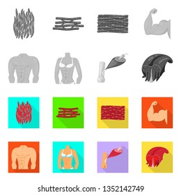 Vector illustration of fiber and muscular sign. Collection of fiber and body  stock symbol for web.