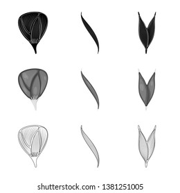 Vector illustration of fiber and muscular sign. Set of fiber and body  stock vector illustration.