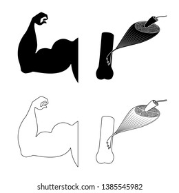 Vector illustration of fiber and muscular sign. Collection of fiber and body  vector icon for stock.