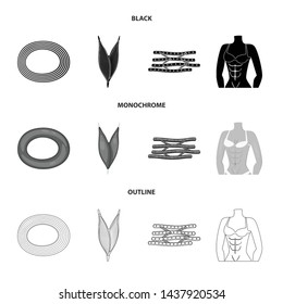 Vector illustration of fiber and muscular sign. Set of fiber and body stock vector illustration.