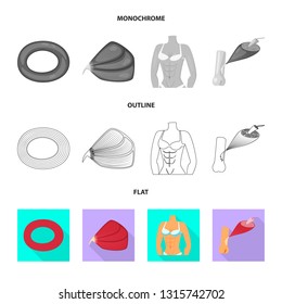 Vector illustration of fiber and muscular symbol. Collection of fiber and body  vector icon for stock.