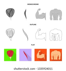 Vector illustration of fiber and muscular symbol. Collection of fiber and body  stock vector illustration.