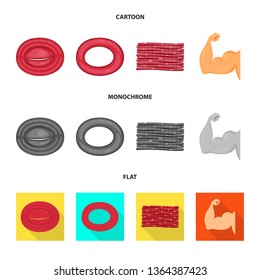 Vector illustration of fiber and muscular symbol. Collection of fiber and body  vector icon for stock.
