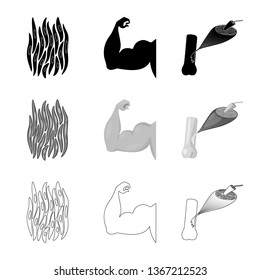 Vector illustration of fiber and muscular symbol. Collection of fiber and body  stock symbol for web.