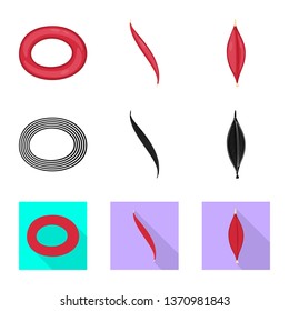 Vector illustration of fiber and muscular symbol. Collection of fiber and body  stock symbol for web.