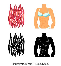 Vector illustration of fiber and muscular symbol. Collection of fiber and body  vector icon for stock.