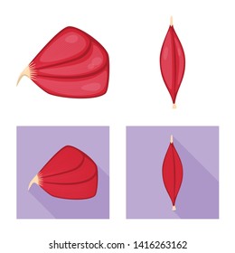 Vector illustration of fiber and muscular symbol. Set of fiber and body  stock symbol for web.