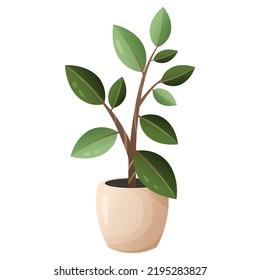 A vector illustration of ficus in beige pot