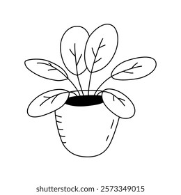 Vektorgrafik eines Ficus im Doodle-Stil. Einzeln auf weißem Hintergrund