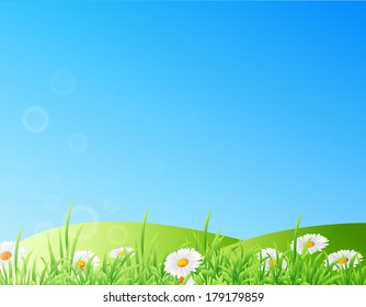 Vector illustration of field of daisies