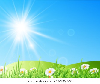 Vector illustration of field of daisies with bright sun