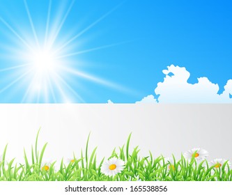 Vector illustration of field of daisies with bright sun