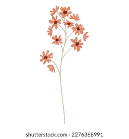 Vector illustration of field grass, flower, dry in flat style, isolated on a white background