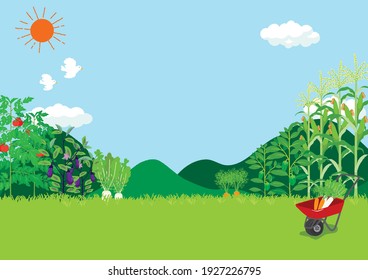 Vector illustration of Field landscape