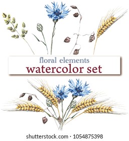 vector illustration of field plants