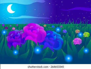 Vector illustration. Field of roses at night.