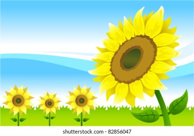 Vector illustration of a field of sunflowers.