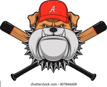 Vector illustration, a fierce bulldog wearing baseball cap, against a white background