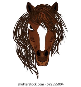 Vector illustration fierce looking brown stallion horse with a flowing mane