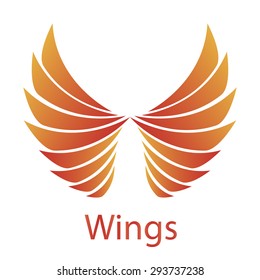 Vector illustration of a fiery bird wings